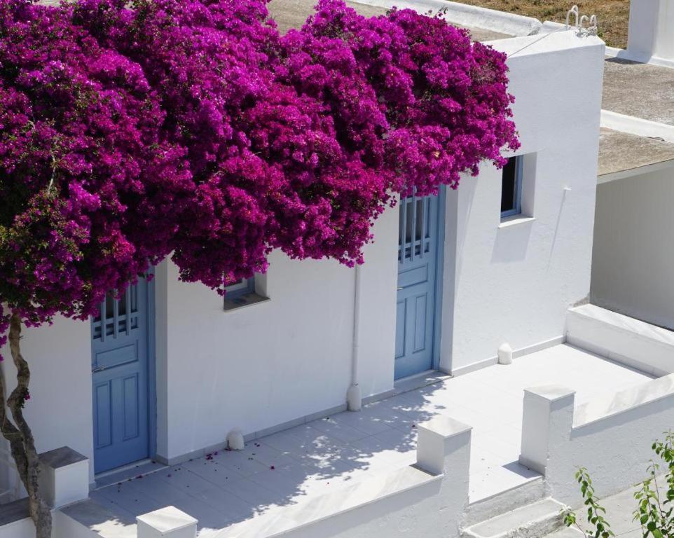 Klironomos Apartments Logaras Exterior photo
