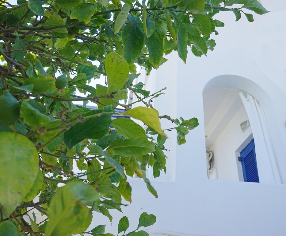 Klironomos Apartments Logaras Exterior photo