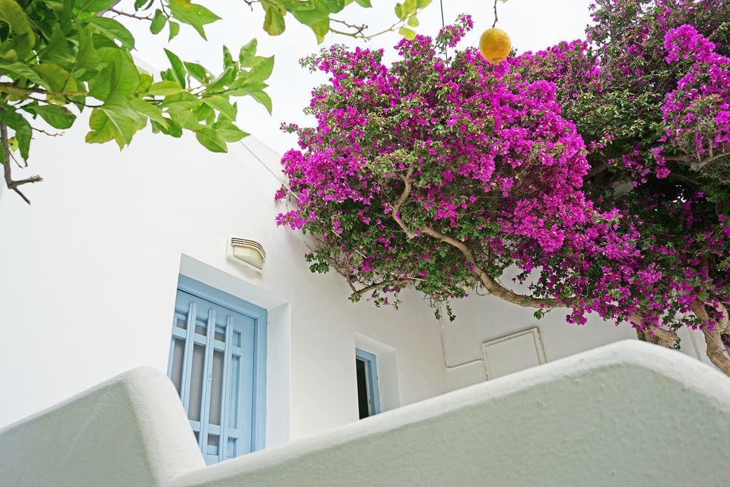 Klironomos Apartments Logaras Exterior photo