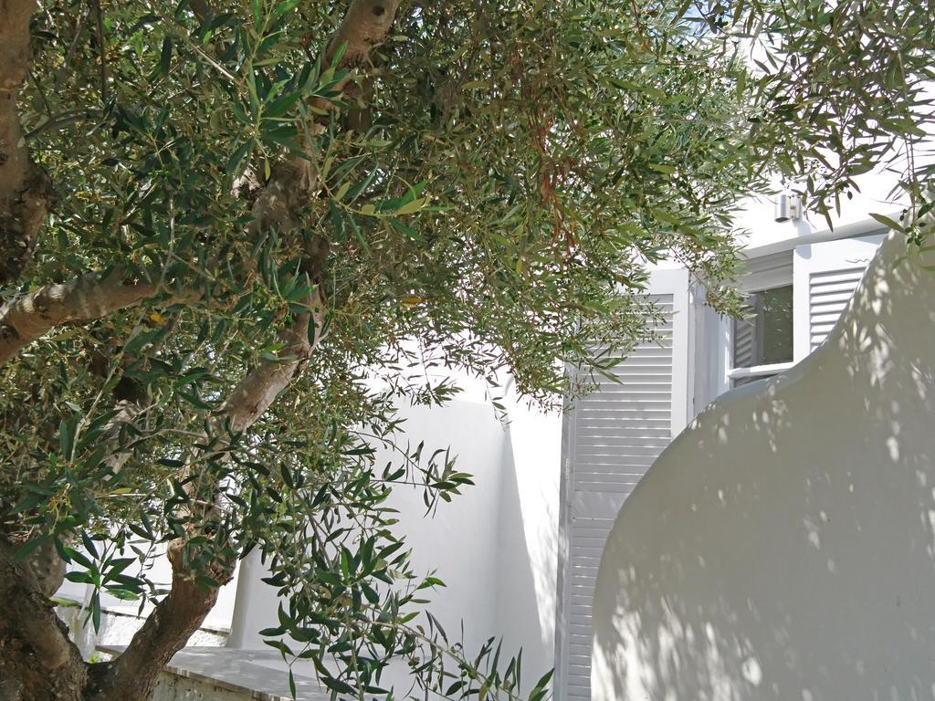 Klironomos Apartments Logaras Exterior photo