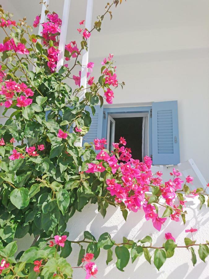 Klironomos Apartments Logaras Exterior photo