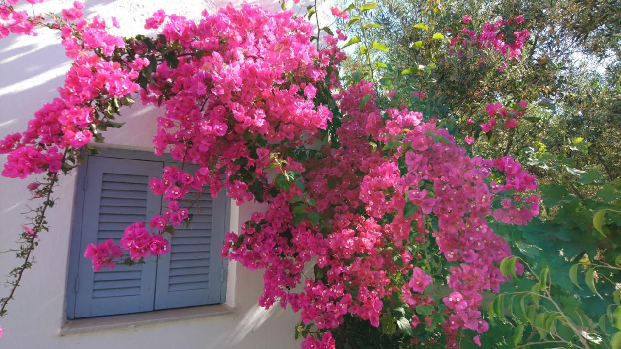 Klironomos Apartments Logaras Exterior photo